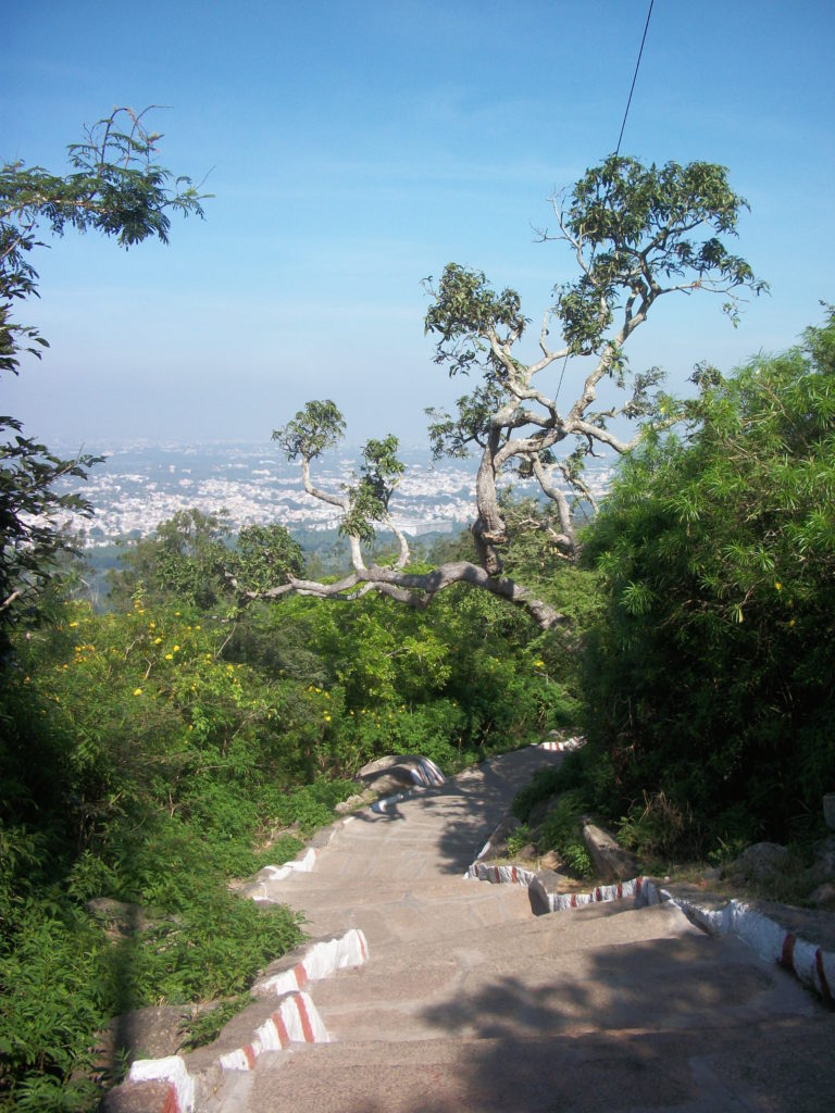 View from Chimundi Hill